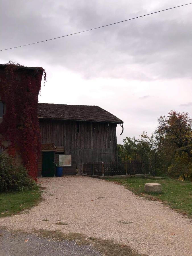 Okami Du Vercors Saint-Laurent-en-Royans Exteriör bild